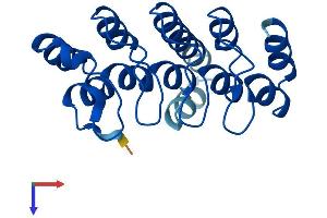 AlphaFold protein structure predicition of Mouse Recombinant Ankrd22 Protein, UniprotID Q9D3J5