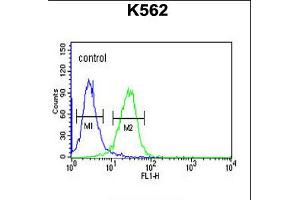 Flow cytometric analysis of K562 cells (right histogram) compared to a negative control cell (left histogram).
