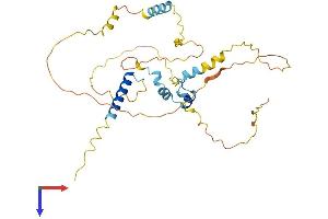 AlphaFold protein structure predicition of Human Recombinant FAM110C Protein, UniprotID Q1W6H9