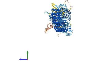 AlphaFold protein structure predicition of Human Recombinant NLRP3 Protein, UniprotID Q96P20