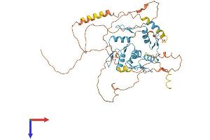AlphaFold protein structure predicition of Mouse Recombinant Fezf2 Protein, UniprotID Q9ESP5