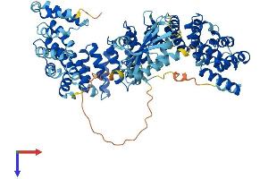 AlphaFold protein structure predicition of Human Recombinant AP4B1 Protein, UniprotID Q9Y6B7