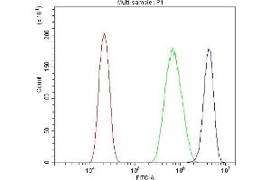 Flow Cytometry analysis of PC-3 cells using anti-PIAS1 antibody (ABIN7602694).