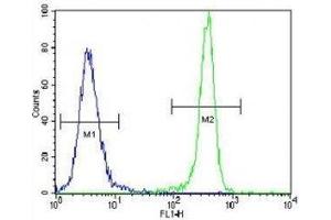 IDH1 antibody flow cytometric analysis of 293 cells (right histogram) compared to a negative control (left histogram). (IDH1 anticorps  (AA 116-143))