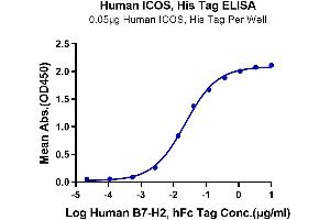 Immobilized Human ICOS, His Tag at 0. (ICOS Protein (AA 21-134) (His tag))