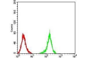 Flow Cytometry (FACS) image for anti-Neurofilament Triplet M Protein (NEFM) (AA 779-916) antibody (ABIN5872897) (NEFM anticorps  (AA 779-916))