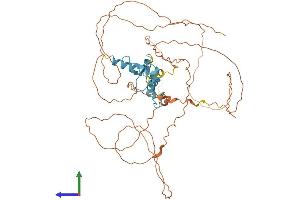 AlphaFold protein structure predicition of Human Recombinant SP8 Protein, UniprotID Q8IXZ3