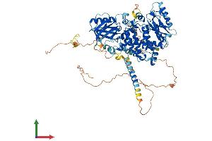 AlphaFold protein structure predicition of Mouse Recombinant Mtmr12 Protein, UniprotID Q80TA6