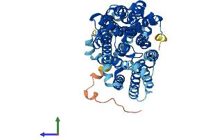 AlphaFold protein structure predicition of Mouse Recombinant Slc2a1 Protein, UniprotID P17809