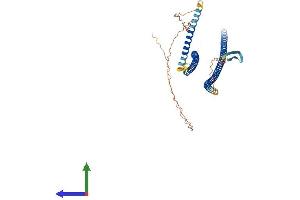 AlphaFold protein structure predicition of Human Recombinant KRT12 Protein, UniprotID Q99456