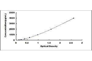 Typical standard curve (NRP2 Kit ELISA)