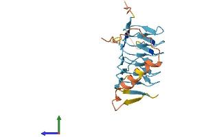 AlphaFold protein structure predicition of Mouse Recombinant Dctn6 Protein, UniprotID Q9WUB4