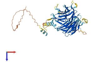 AlphaFold protein structure predicition of Human Recombinant DCAF12L2 Protein, UniprotID Q5VW00