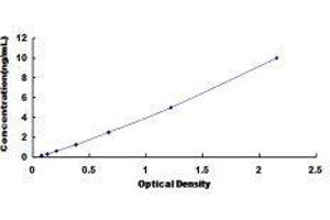 Growth Factor Receptor-Bound Protein 2 (GRB2) ELISA Kit