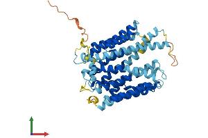 AlphaFold protein structure predicition of Mouse Recombinant Slc46a1 Protein, UniprotID Q6PEM8