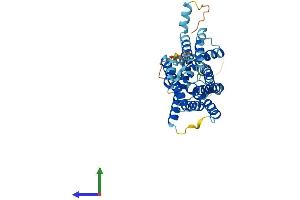 AlphaFold protein structure predicition of Mouse Recombinant Slc35e4 Protein, UniprotID Q8K3D6