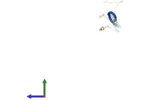 AlphaFold protein structure predicition of Human Recombinant IQCG Protein, UniprotID Q9H095