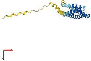 AlphaFold protein structure predicition of Human Recombinant CMTM3 Protein, UniprotID Q96MX0