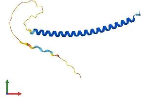AlphaFold protein structure predicition of Human Recombinant C4orf46 Protein, UniprotID Q504U0