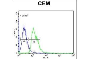 DIH2 Antibody (Center) 9407c flow cytometric analysis of CEM cells (right histogram) compared to a negative control cell (left histogram). (DIAPH2 anticorps  (AA 870-899))