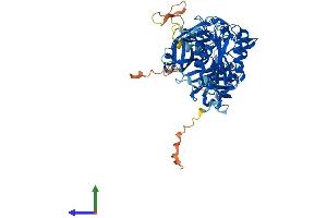 AlphaFold protein structure predicition of Human Recombinant CPNE5 Protein, UniprotID Q9HCH3