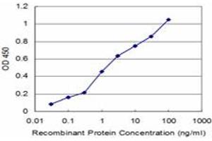 Detection limit for recombinant GST tagged VAMP1 is approximately 0. (VAMP1 anticorps  (AA 28-96))