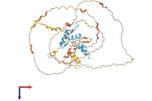 AlphaFold protein structure predicition of Human Recombinant KLF5 Protein, UniprotID Q13887