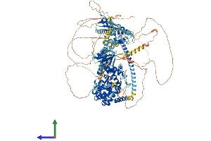 AlphaFold protein structure predicition of Human Recombinant TBC1D4 Protein, UniprotID O60343