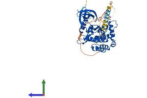 AlphaFold protein structure predicition of Human Recombinant CSNK1D Protein, UniprotID P48730