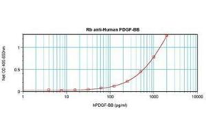 Image no. 4 for anti-PDGF-BB Homodimer antibody (ABIN465590) (PDGF-BB Homodimer anticorps)