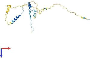 AlphaFold protein structure predicition of Mouse Recombinant Ppp1r1b Protein, UniprotID Q60829