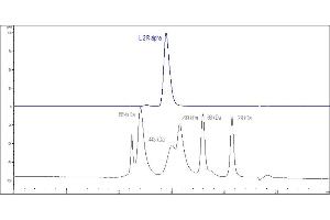The purity of Human IL-2 R alpha Protein, Fc Tag (Hied) (ABIN2181382,ABIN2181381) was greater than 90 % as determined by .