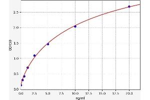 Typical standard curve (PDE7B Kit ELISA)