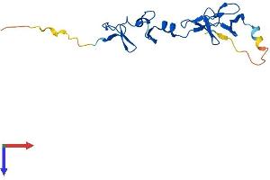 AlphaFold protein structure predicition of Human Recombinant LMO4 Protein, UniprotID P61968