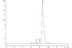 The purity of Biotinylated Human Siglec-3 is greater than 90 % as determined by SEC-HPLC.