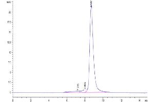 The purity of Biotinylated Human Siglec-3 is greater than 90 % as determined by SEC-HPLC. (CD33 Protein (CD33) (AA 18-259) (His-Avi Tag,Biotin))