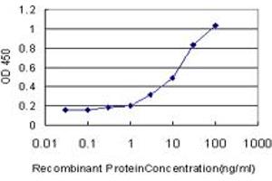 Detection limit for recombinant GST tagged AZIN1 is approximately 0. (Antizyme Inhibitor 1 anticorps  (AA 339-447))