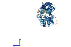 AlphaFold protein structure predicition of Human Recombinant SLC43A2 Protein, UniprotID Q8N370