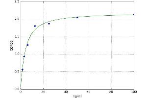 A typical standard curve