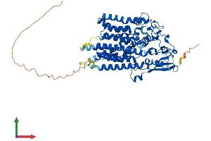 AlphaFold protein structure predicition of Mouse Recombinant Alg9 Protein, UniprotID Q8VDI9