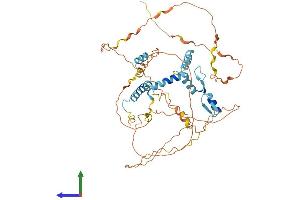 AlphaFold protein structure predicition of Human Recombinant NUFIP1 Protein, UniprotID Q9UHK0