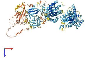AlphaFold protein structure predicition of Mouse Recombinant Pex6 Protein, UniprotID Q99LC9