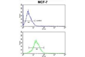 Flow Cytometry (FACS) image for anti-Keratin 13 (KRT13) antibody (ABIN3002761)