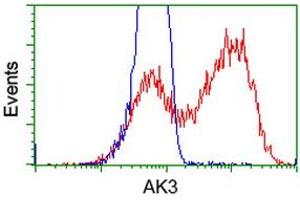 HEK293T cells transfected with either RC204408 overexpress plasmid (Red) or empty vector control plasmid (Blue) were immunostained by anti-AK3 antibody (ABIN2452714), and then analyzed by flow cytometry. (Adenylate Kinase 3 anticorps)