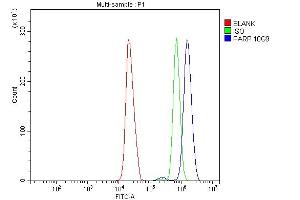 Flow Cytometry analysis of HL-60 cells using anti-PARP antibody (ABIN7602277). (PARP1 anticorps  (AA 670-858))