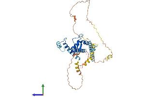 AlphaFold protein structure predicition of Human Recombinant ABRA Protein, UniprotID Q8N0Z2