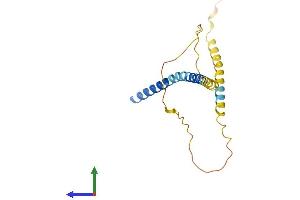 AlphaFold protein structure predicition of Human Recombinant FATE1 Protein, UniprotID Q969F0