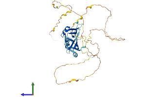 AlphaFold protein structure predicition of Mouse Recombinant Dazap1 Protein, UniprotID Q9JII5