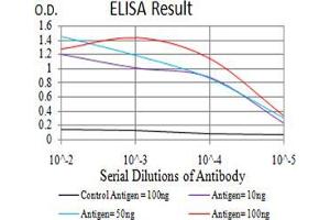 Black line: Control Antigen (100 ng);Purple line: Antigen (10ng); Blue line: Antigen (50 ng); Red line:Antigen (100 ng) (ESRRA anticorps  (AA 198-376))