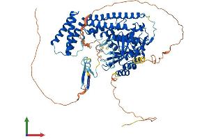 AlphaFold protein structure predicition of Human Recombinant PCIF1 Protein, UniprotID Q9H4Z3